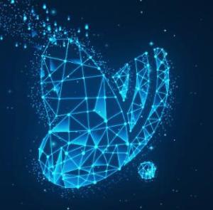 杭州變啦網絡科技 引領健康管理領域的網絡技術創新者